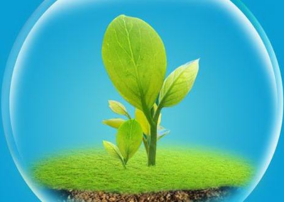 区块链技术如何实现农产品追溯 技术解析与实施路径