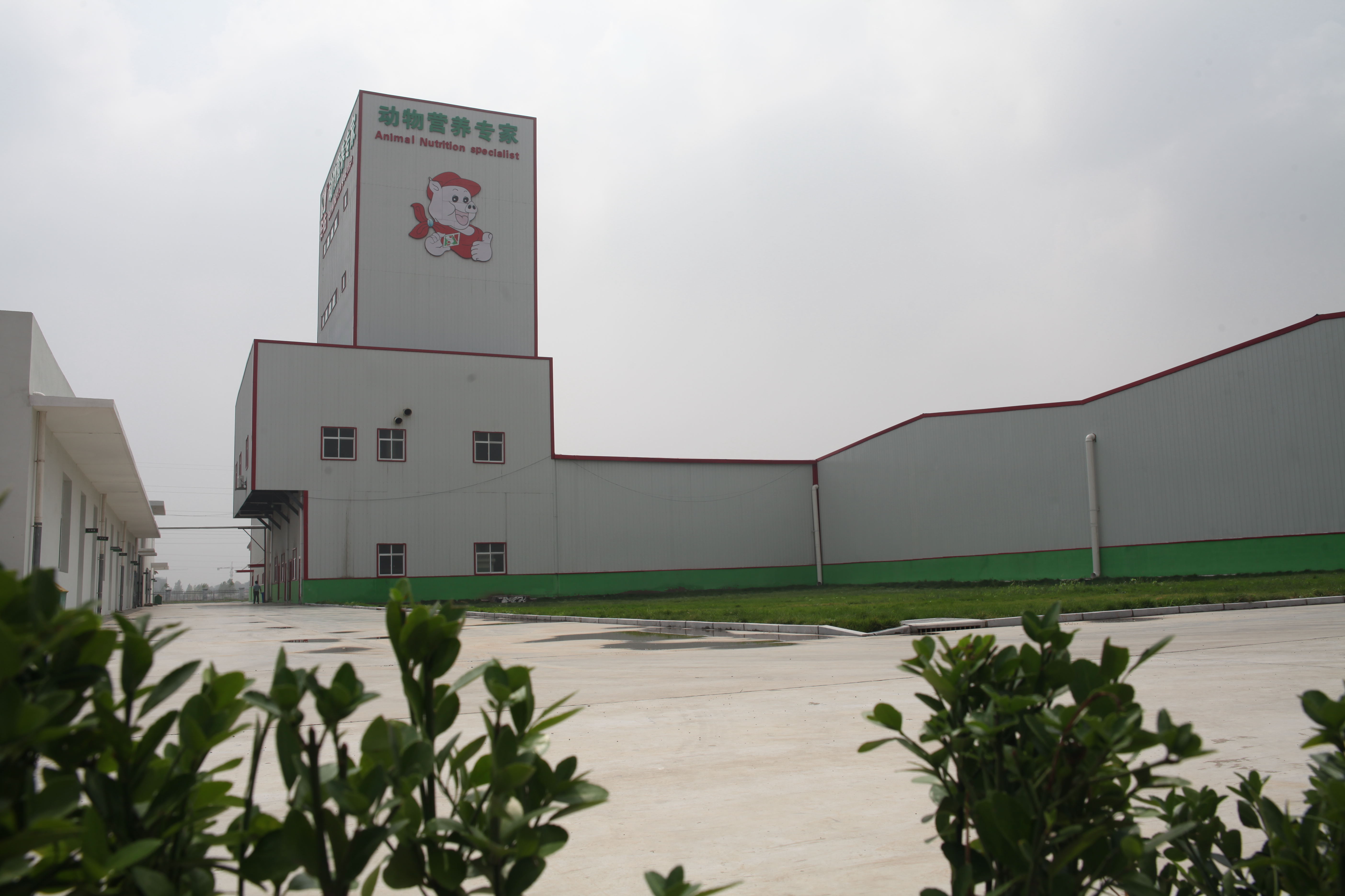 安佑生物科技集团股份 技术咨询引领产业创新之路