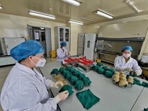 以专业守护健康，用担当诠释巾帼力量——记中国疾控中心环境所消毒中心荣获“全国巾帼文明岗”称号